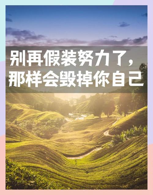 别用“努力”的假象，骗自己一辈子