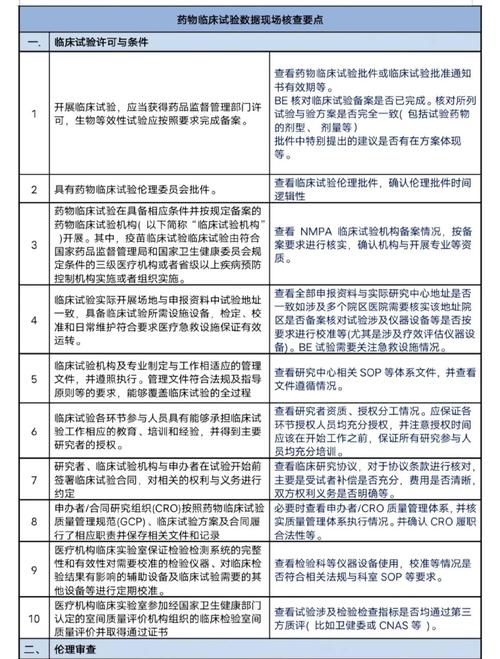 国家药监局药品审批临床试验现场核查记录表
