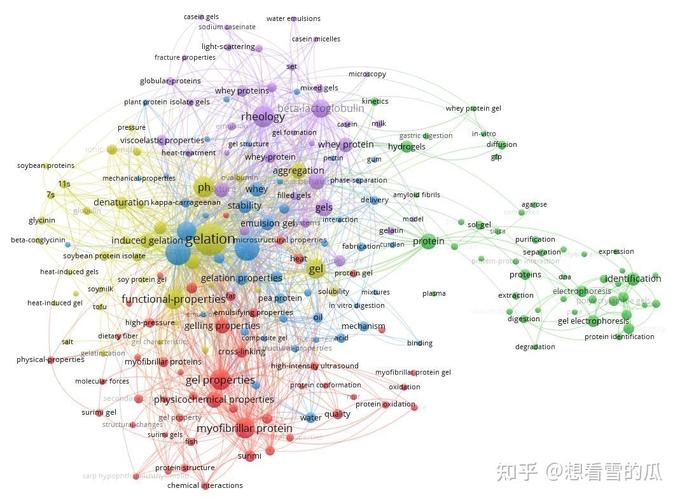 Web of Science引文网络关联节点可视化界面