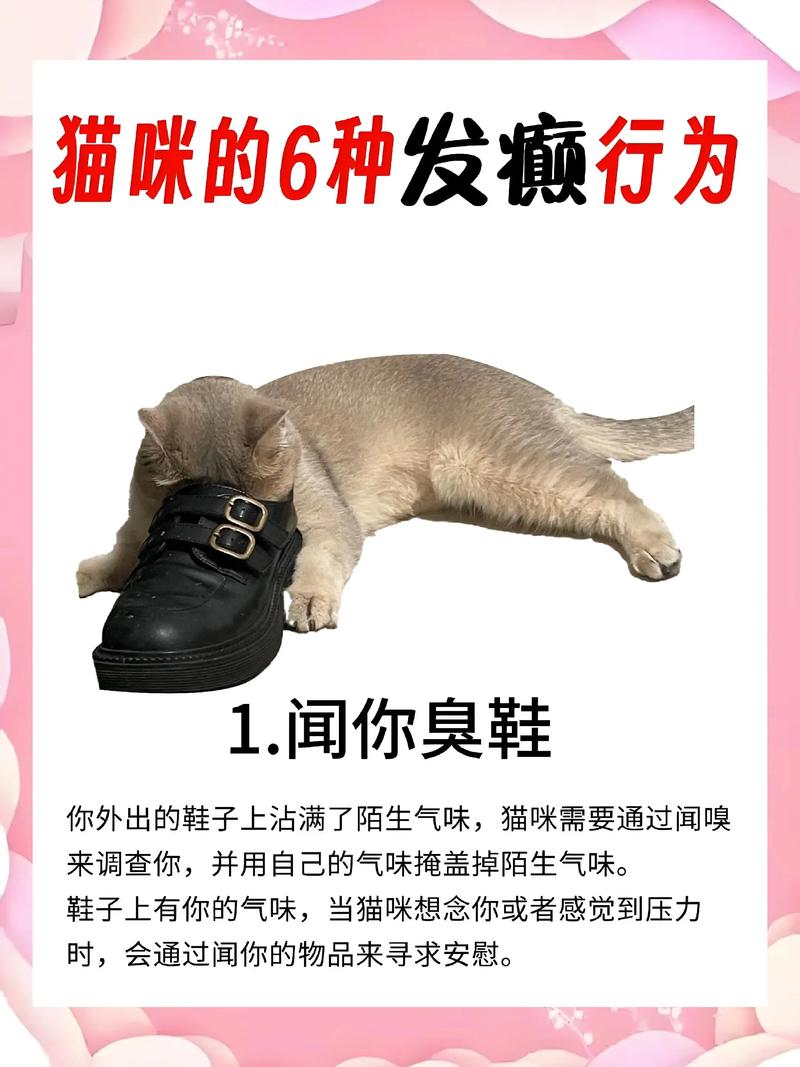 不只是猫,萌宠的奇葩日常多了去了