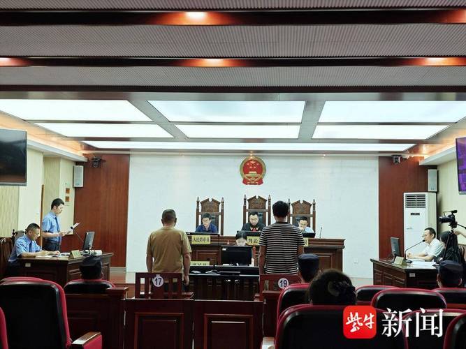 法院审理倒卖来源不明文物案件庭审现场