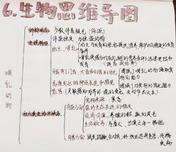 2024版初中生物新课标哺乳动物核心特征整理图