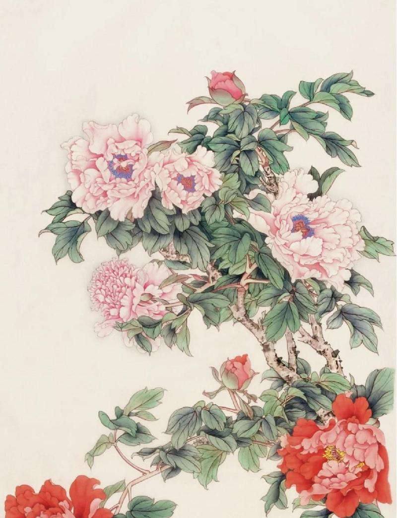 花谱:纸上花园的隐秘角落-因为所以