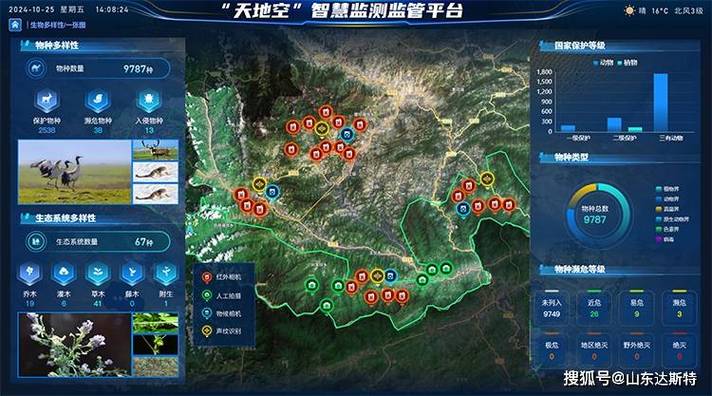 三、服务商生态:监测这事,到底谁能干得漂亮?