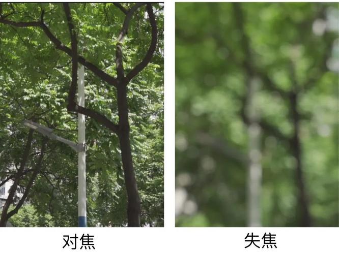SGE搜索模糊提问vs精准提问对比图