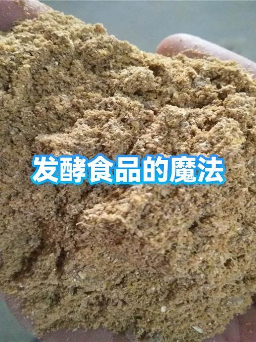 发酵，那点看不见的魔法