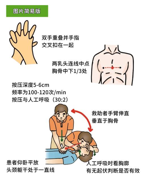 心肺复苏按压位置示意图成人儿童差异