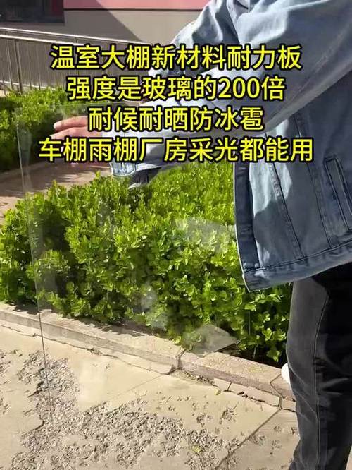 冰雹砸坏的耐力板对比图