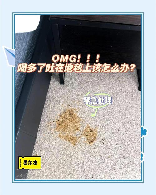 铲屎官清理客厅地毯猫咪呕吐物实景图