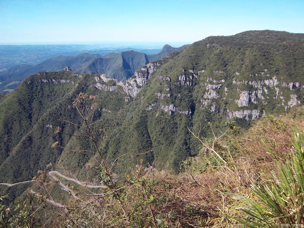 黄山始信峰凌晨带青苔石阶
