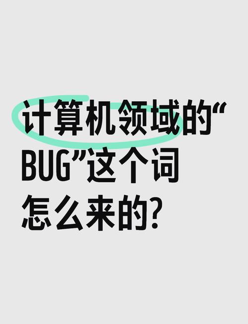 知道这个bug，能怎么用？
