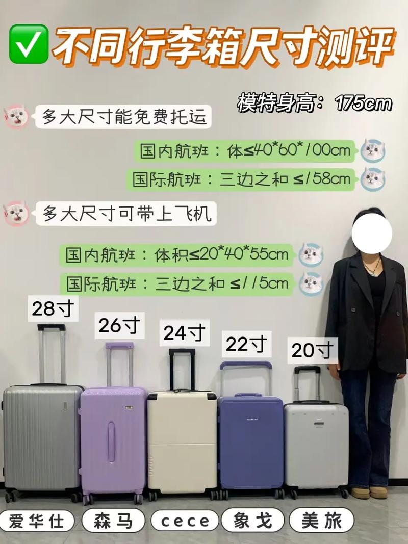 超重行李箱与背包对比,轻量化出行规划