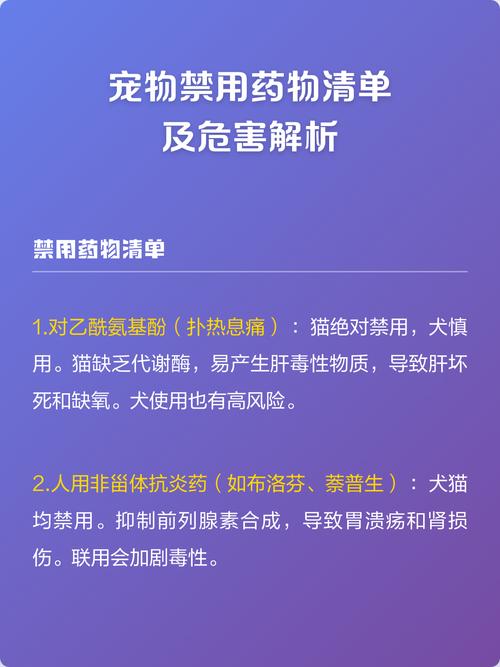 猫狗禁用常见人用药物清单示意图