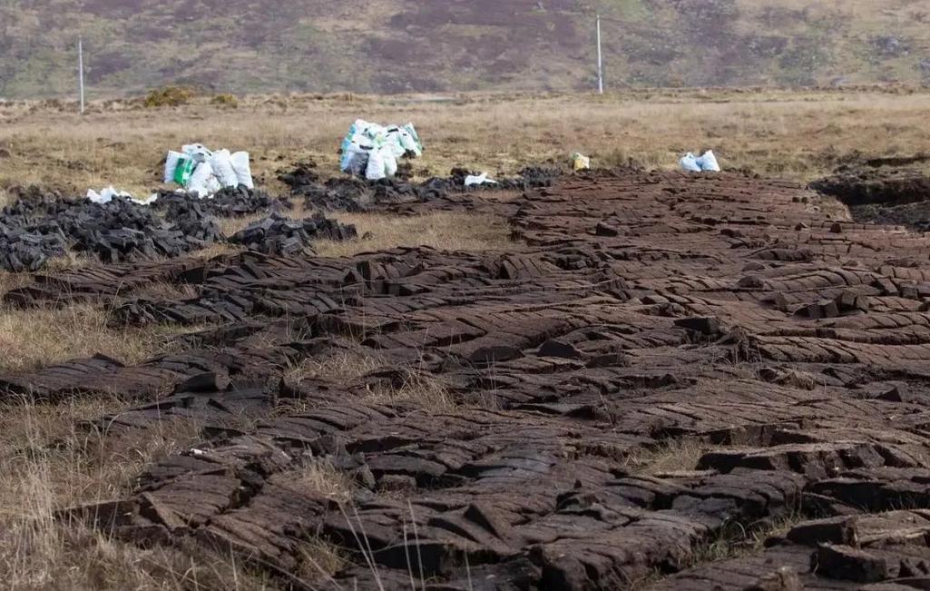 被重金属污染发黑的菜地土壤实拍