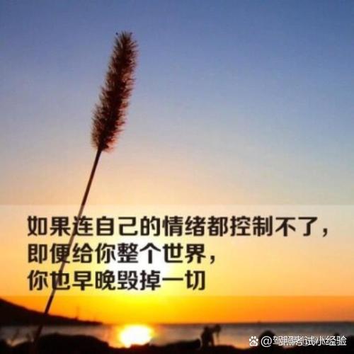 让环境替你使劲儿，别总靠自己硬撑