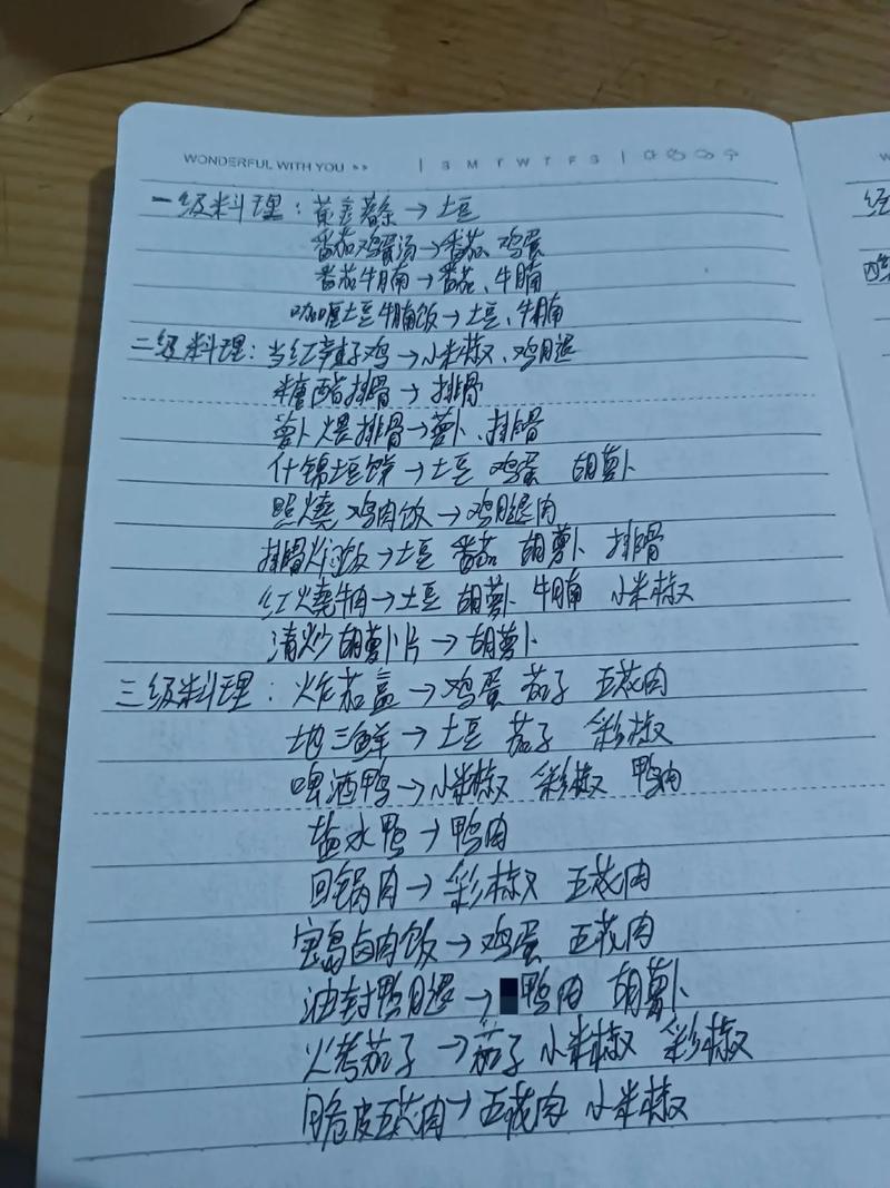 普通人手写膳食记录日常记事本实拍