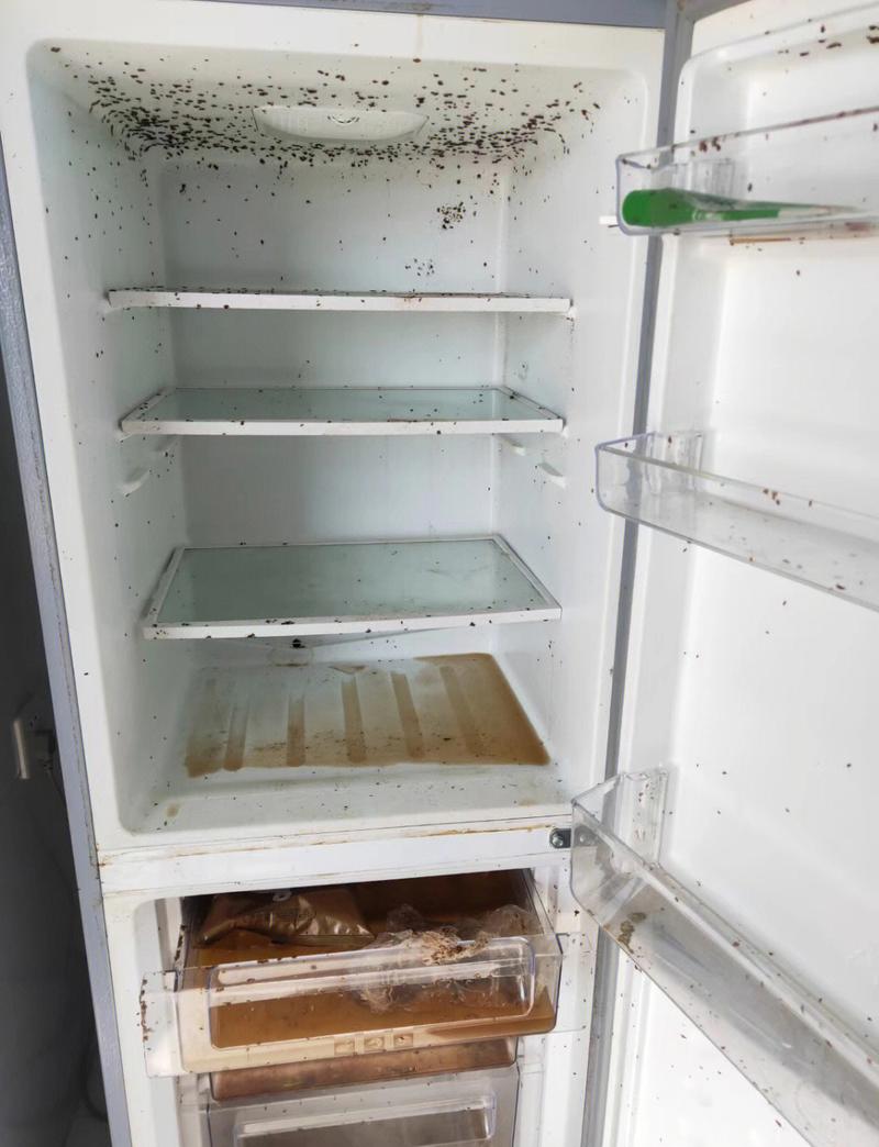 冰箱背面缝隙积灰油泥实拍