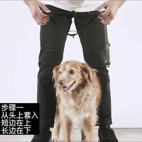 前扣式胸背防止狗狗爆冲原理图