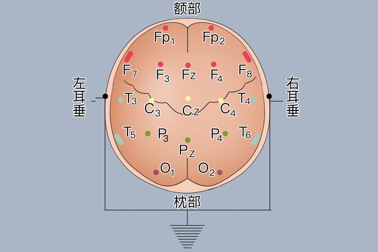 非侵入式脑机接口头皮电极分布示意图