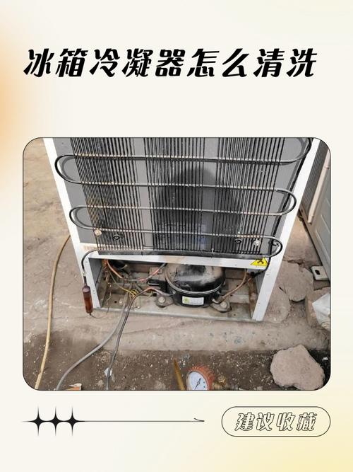 冰箱背部冷凝器灰尘清理图