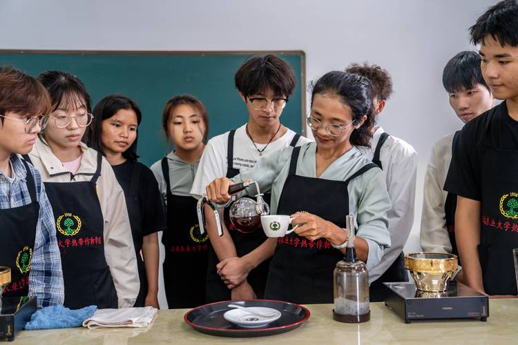 青年学生在咖啡馆进行职业兴趣探索讨论