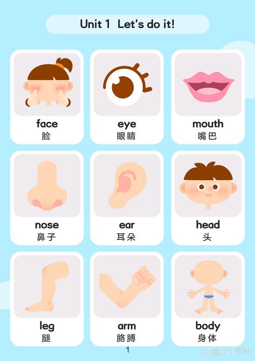 小学英语身体部位head词汇教学卡片