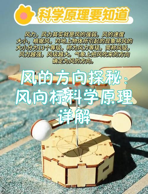 接下来的风口，藏在两个少有人提的方向里