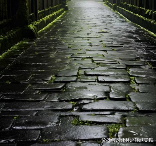 成都春雨湿冷石板路