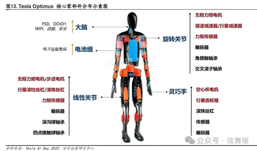 特斯拉Optimus人形机器人关节结构图