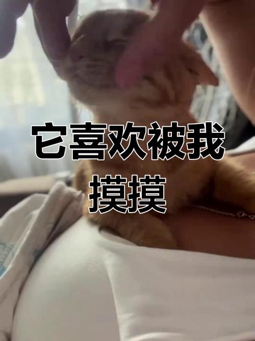 揉捏时，我听见什么