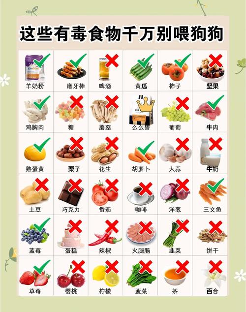 家庭常见宠物有毒误食物品整理图