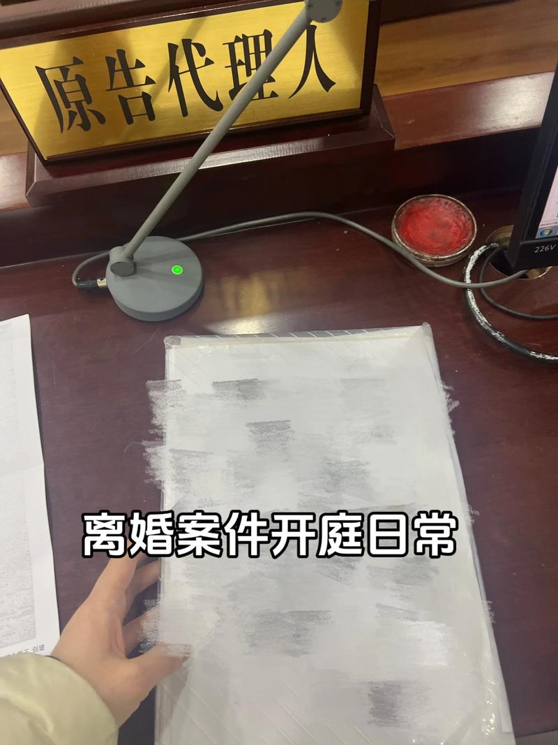 婚姻家庭法离婚财产分割庭审现场实拍