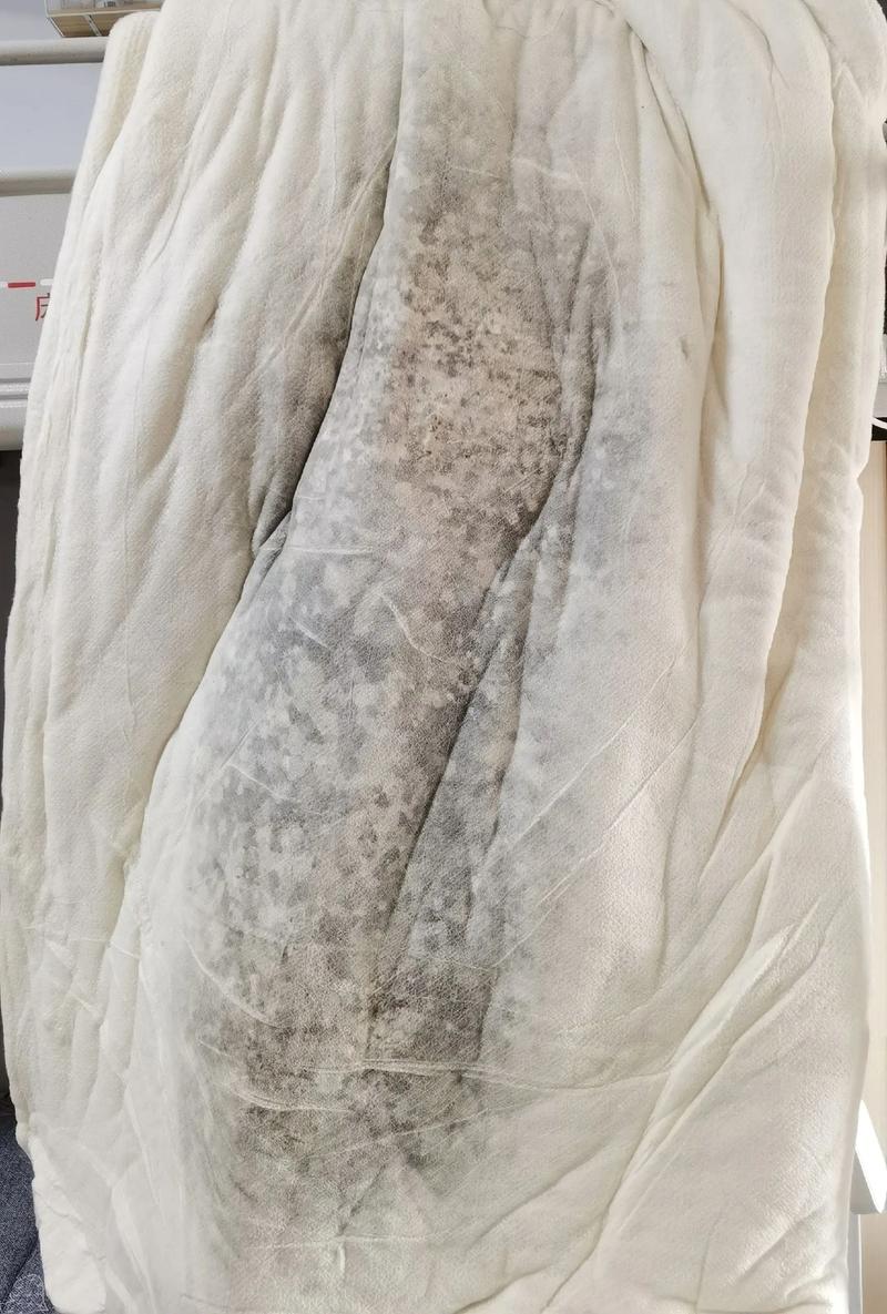 发霉的被褥实物照