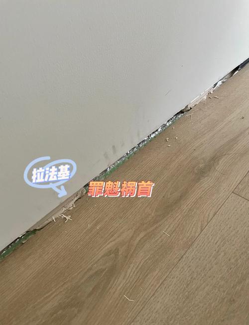 伸缩缝被填死导致木地板起拱实拍图