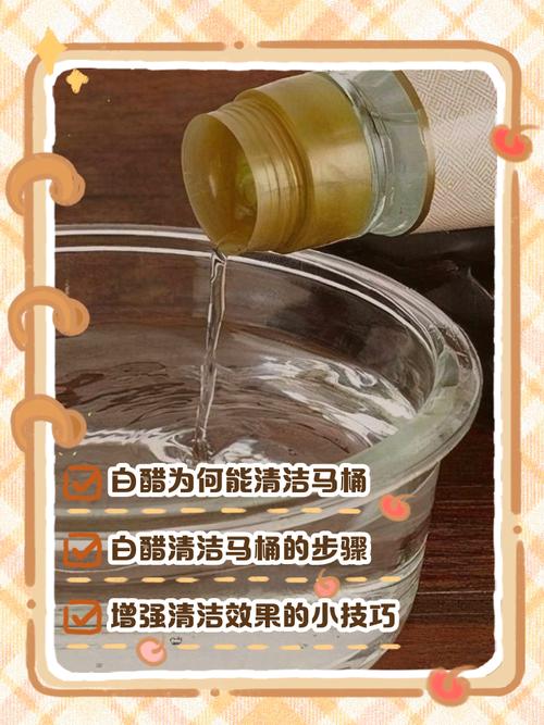 九块九的白醋,帮我省了三百块换马桶钱