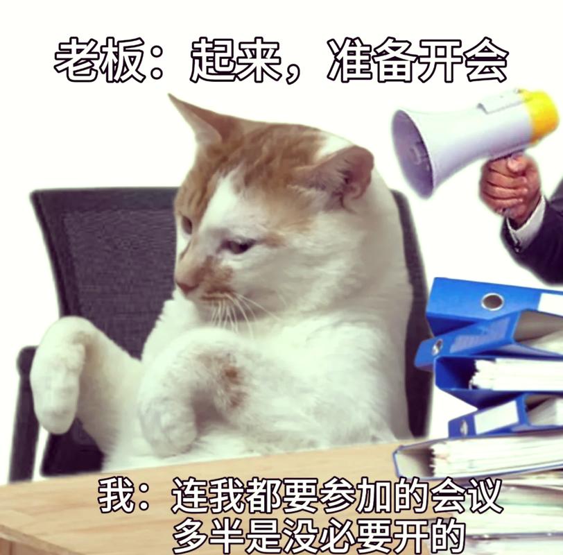 远程办公沟通困难表情包