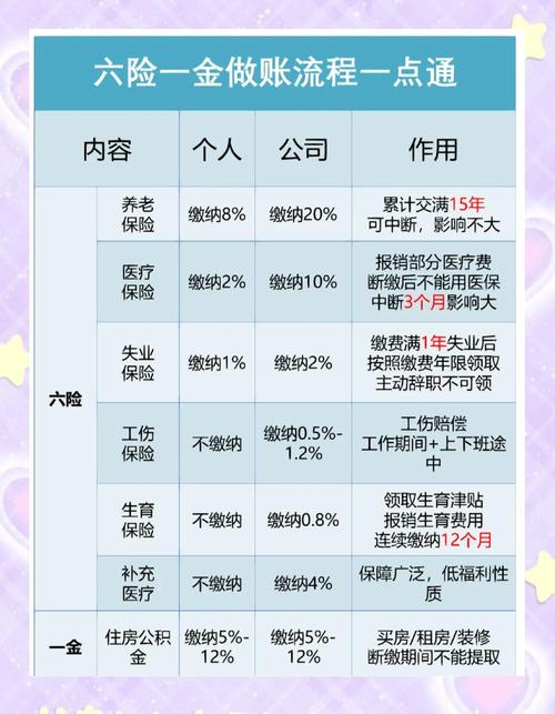 不同收入人群人寿缴费方式选择参考图