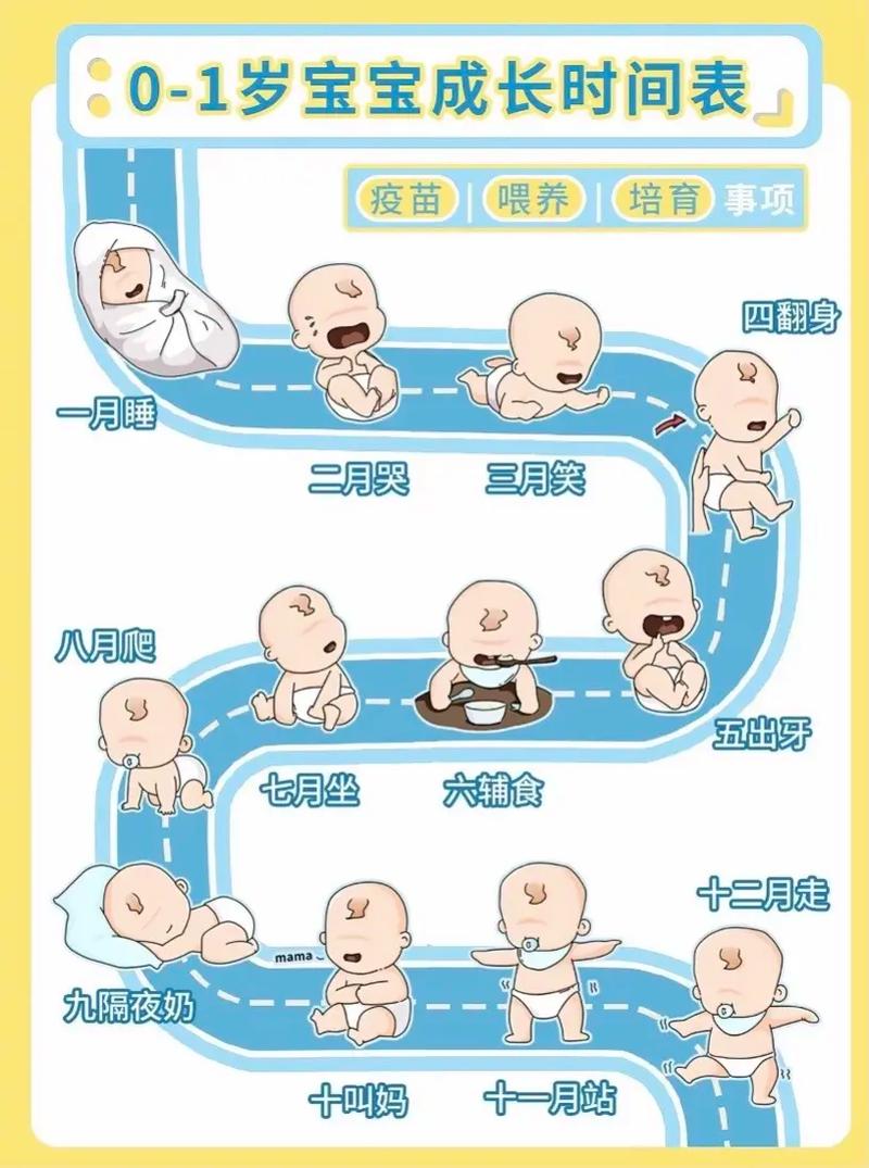 新生儿反射动作成长时间轴图示