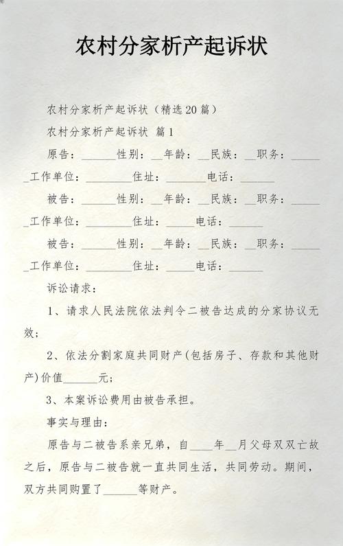农村宅基地分家析产纠纷庭审记录