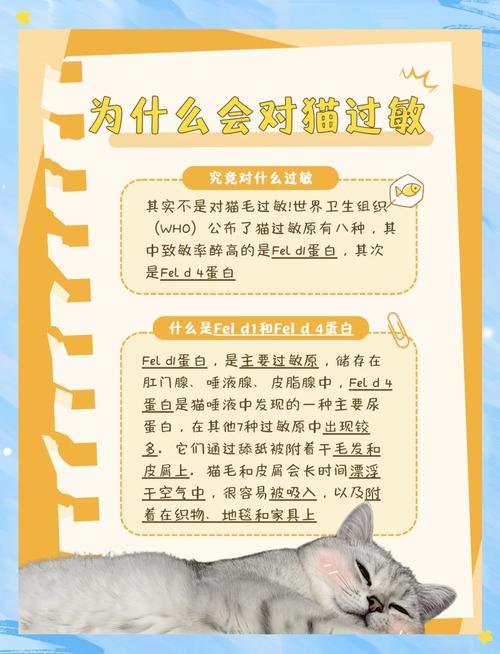 养宠家庭室内猫过敏原漂浮路径图