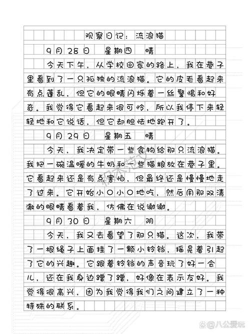 学生记录流浪猫日常的手写便签