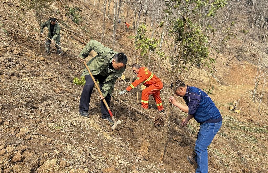 林业工人工业厂区后山种树挖深坑场景