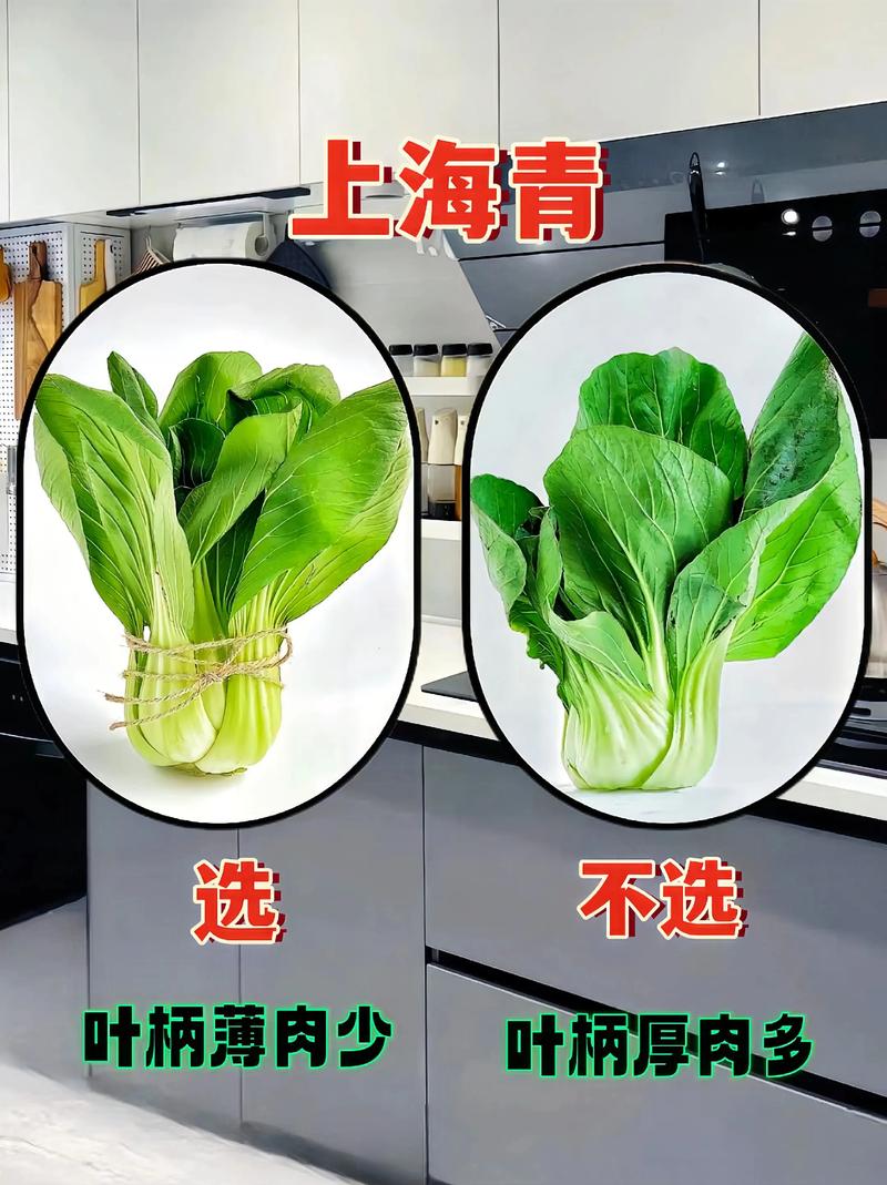 选对青菜，成功一半