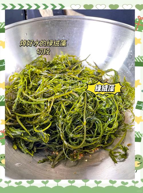 吃海藻图啥？图它鲜，图它扛得住岁月
