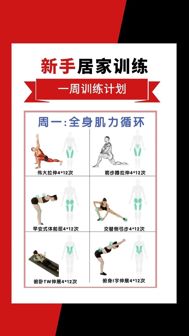 从零开始，怎么安排你的力量轻训练？