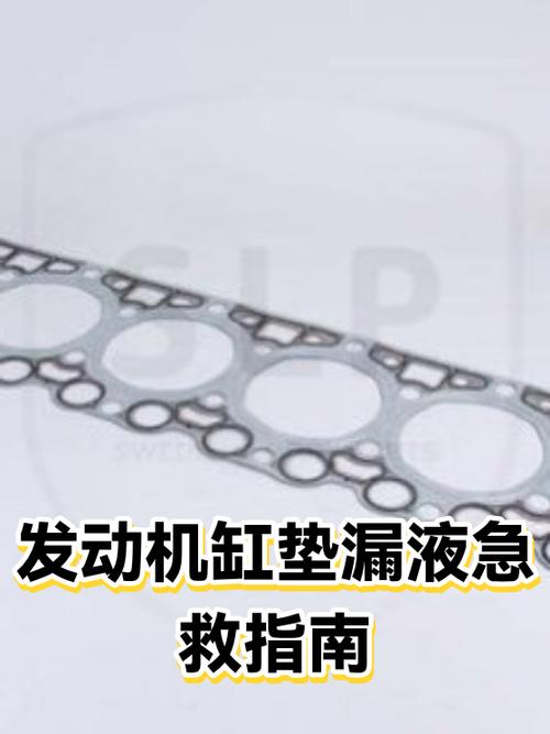 哪些缸垫渗漏可以先不用修？