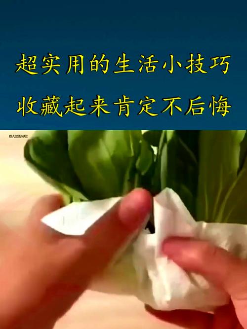厨房纸巾包裹绿叶菜根部保鲜图