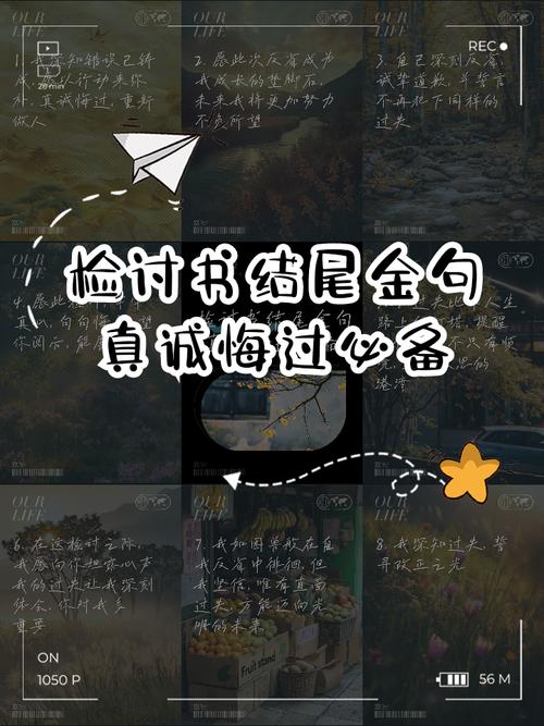 写在最后(但绝对不是总结)