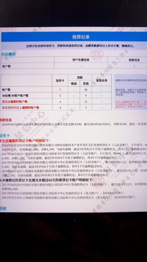 个人征信报告错误信息标记图