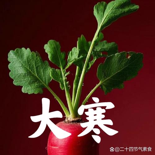 数九寒天，别总觉得只有萝卜白菜能吃